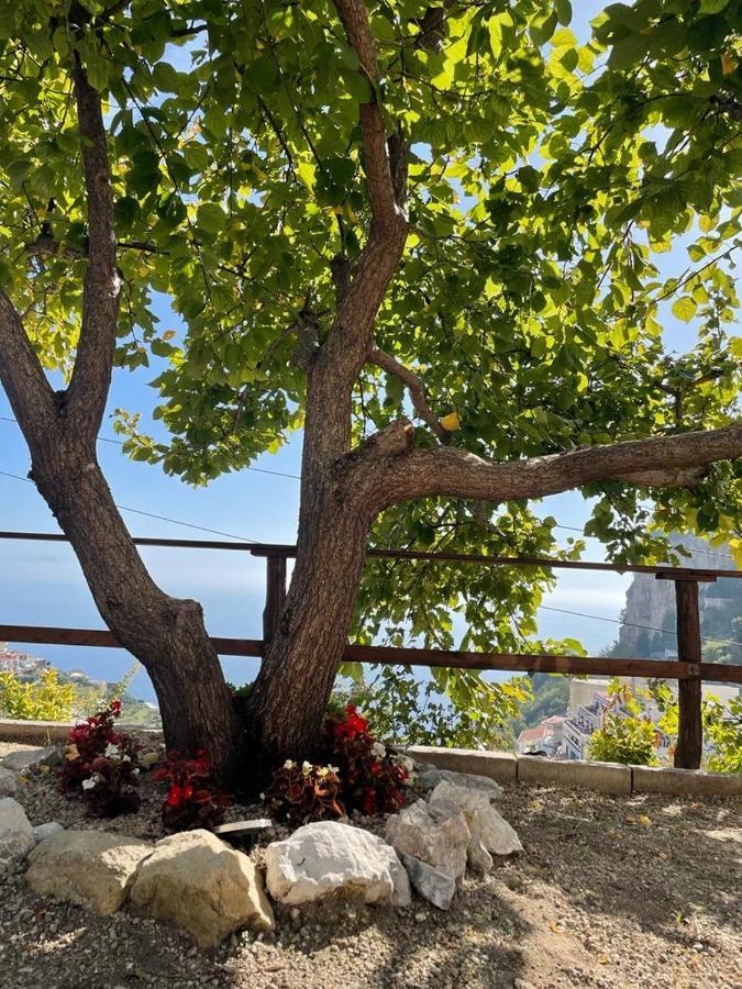 Casa Enzo Con Vista Mare Apartman Amalfi Kültér fotó